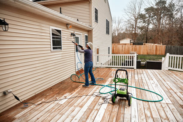 Best Exterior Home Cleaning  in Somerset, WI